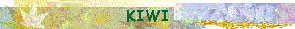 KIWI