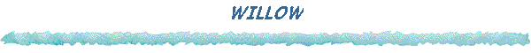 WILLOW